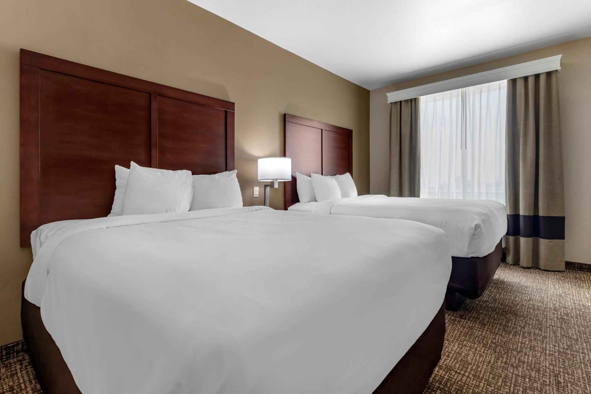Comfort Suites Plano - Dallas North Ngoại thất bức ảnh